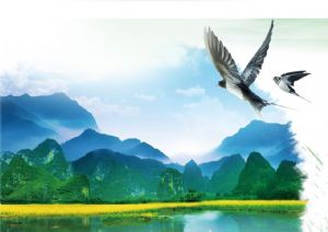 聚焦高考&mdash;&mdash;綠水青山，我們押中了！