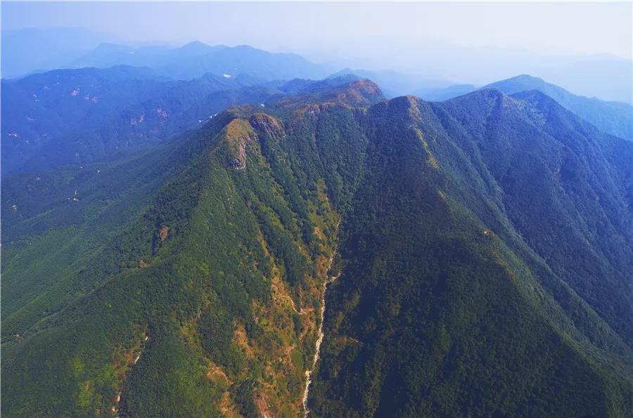云浮：嚴防森林火災(zāi) 堅決守護綠水青山